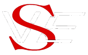VSE Logo